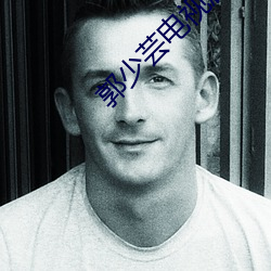 郭少芸电(diàn)视剧