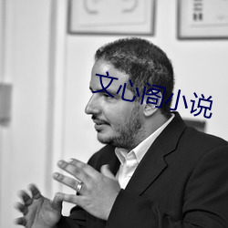 文心閣小說