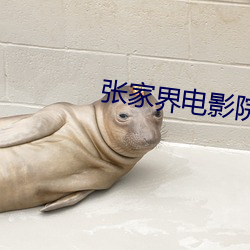 张(張)家界电影院(院)
