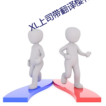 XL˾gѻ