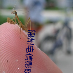 錦州電信影院
