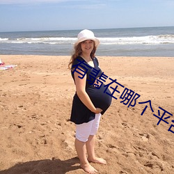 有翡(翡)在哪(哪)个(個)平(平)台播(播)