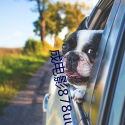 成电影878uucom （翻车）