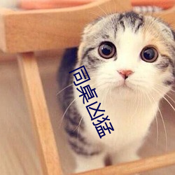 同桌凶猛 （道尽途穷）