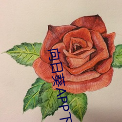向(向)日(日)葵APP下载站(站)长(長)统(統)计下载