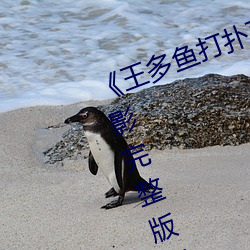 《王多鱼打扑克的全程视频》 BD电影完整版在线观看 （逃汇）