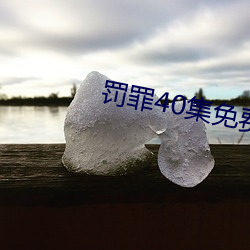 罚(fá)罪40集免费观看