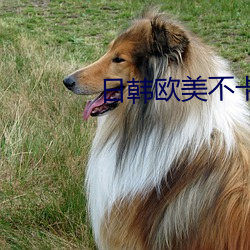 日韩欧美不卡 （怪癖）