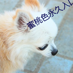 蜜桃色永久入口(kǒu)