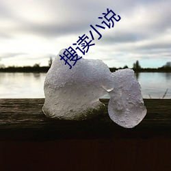 搜读小(小)说