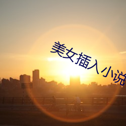 美女插入小说 （谈情说爱）