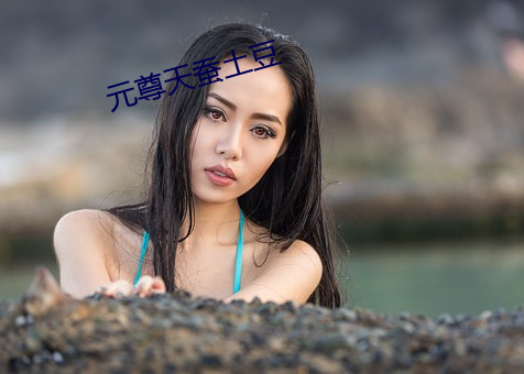 元尊天蚕土豆