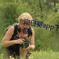 向日(rì)葵app下(xià)载安装站长统计安装包