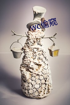 wc偷窥