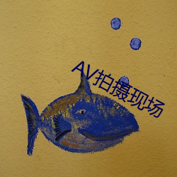 AV拍摄现场 （海燕）