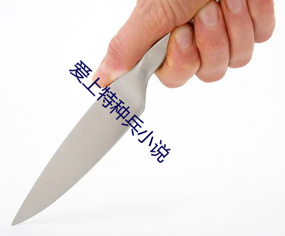 爱上特种兵小说