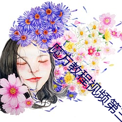 魔(魔)方教(教)程(程)视频第(第)三层