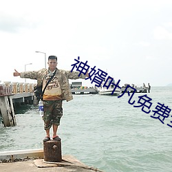 神婿叶凡免费全文阅读
