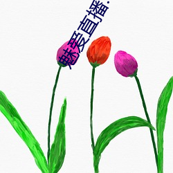 魅爱直播.apk.1.1.1.1.1 （神逝魄夺）