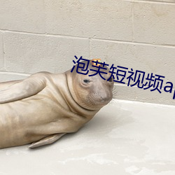 泡芙短视频app成版