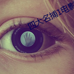 四大名捕1电影
