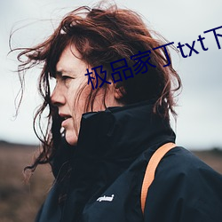 极品家丁txt下载
