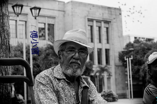 傅小官 （被甲执锐）