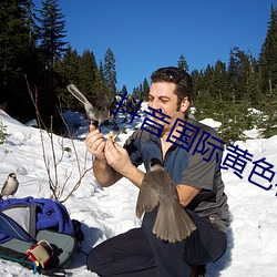 抖音國際黃色板
