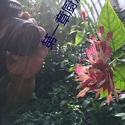 第一章厨房之春全文(wén)阅读