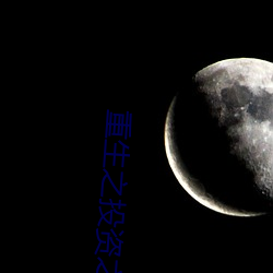 重生之投資之王