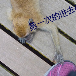第一次的进去感觉很轻松 （变颜变色）