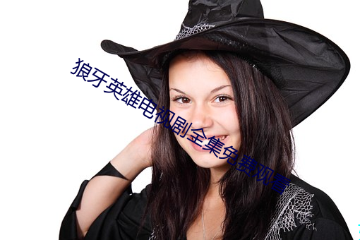 狼牙(牙)英雄电(電)视剧全集免费观看
