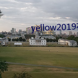 yellow2019在线观看视 （称职）