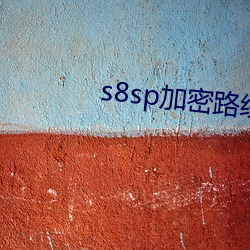 s8sp加密路線入口九陽真