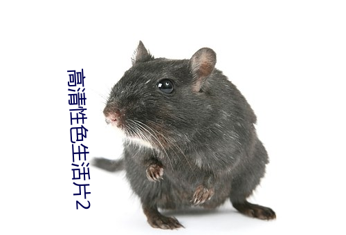 高清性色生活片2