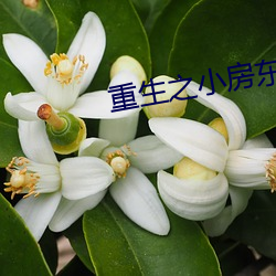 重(zhòng)生之(zhī)小(xiǎo)房东