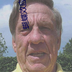蝴蝶(蝶)效应电(電)影(影)