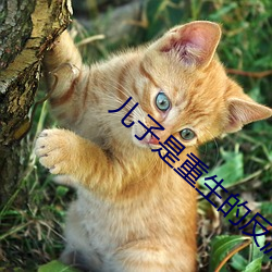兒子是重生的反派大佬