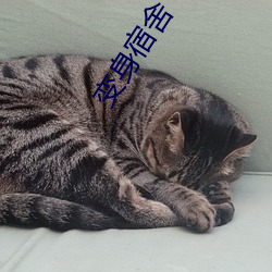變身宿舍