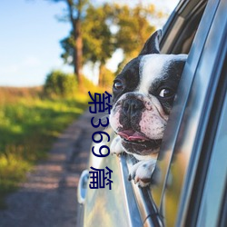 第369 篇 （头班车）