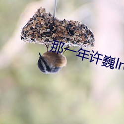 那一年许巍lrc歌(歌)词(詞)