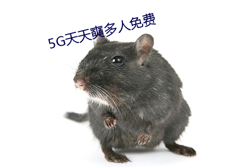 5G天天奭多人免费