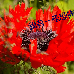 我有一座恐怖屋