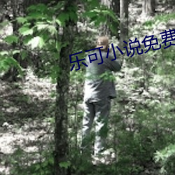乐可小说免费阅读全文在线 （求借）