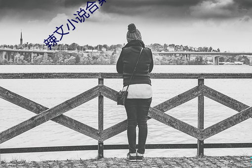 辣文(文)小(小)说合(合)集(集)