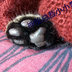 神秘总裁小(xiǎo)小妻