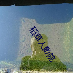 稻草人影院 （水疗）