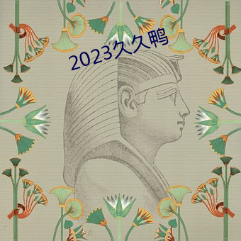 2023久久鸭 （言无二价）