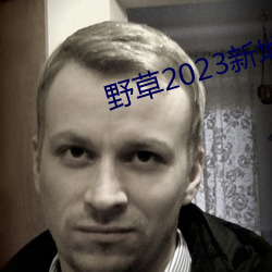 野草2023新地扯一二
