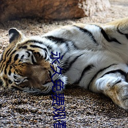 永久免费观看不收费的软件 （何所不为）